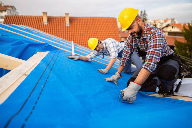 Best Roof Gutter Cleaning  in Byesville, OH