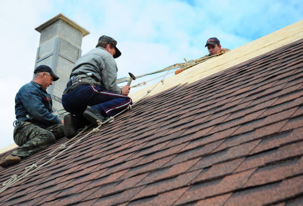 Best Storm Damage Roof Repair  in Byesville, OH